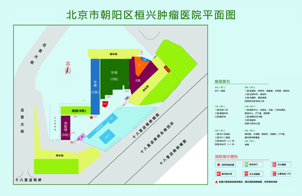 老黑大鸡吧视频北京市朝阳区桓兴肿瘤医院平面图